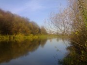 201020133440.jpg