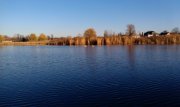 IMAG0337.jpg