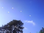 DSC015571.jpg