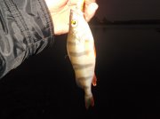 DSCF6194.JPG