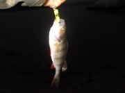 DSCF6203.JPG