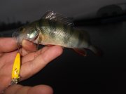 DSCF6204.JPG