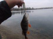 DSCF6199.JPG