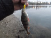 DSCF6198.JPG