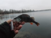 DSCF6205.JPG