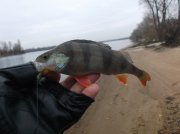 DSCF6201.JPG