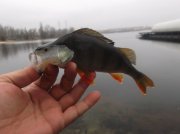 DSCF6206.JPG