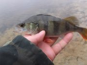 DSCF6207.JPG