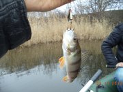 DSC00932.JPG