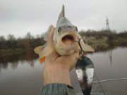 231120135059.jpg