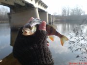 DSC01220.JPG