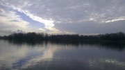 IMAG0376.jpg