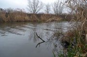 DSC_1619.jpg