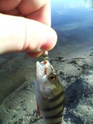 IMG_20131129_130618_0.jpg