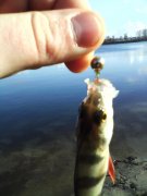 IMG_20131129_130625_0.jpg