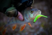 IMG_3010.jpg
