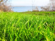 IMG_6258.JPG
