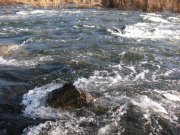 IMG_6299.JPG