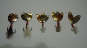 DSC02124.JPG