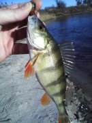 IMG_20131203_101947_0.jpg