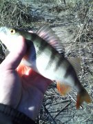 IMG_20131203_105108_0.jpg