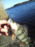 IMG_20131203_121810_0.jpg