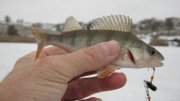 IMG_1936.jpg