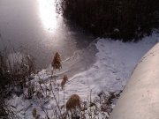 IMG_20131213_123105.jpg