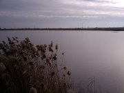 IMG_20131213_123113.jpg