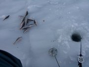 IMG_20131213_152406.jpg