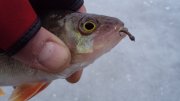 DSC05697.JPG