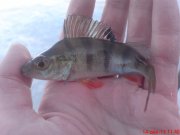 DSC01256.JPG