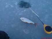 DSC01265.JPG