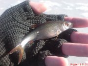 DSC01257.JPG