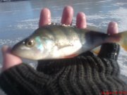 DSC01258.JPG