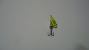 DSC02129.JPG