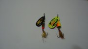 DSC02130.JPG