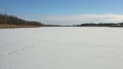 IMG_1940.jpg