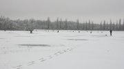 IMG_1952.jpg