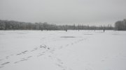 IMG_1953.jpg