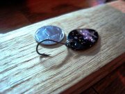 DSC09718.JPG