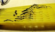 IMG_20131220_035221.jpg