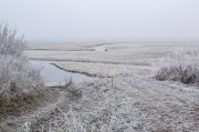 DSC_0664-4.jpg