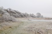 DSC_0665-5.jpg