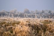 DSC_0681-15.jpg