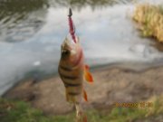 IMG_0843.JPG
