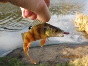 IMG_0844.JPG
