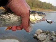 Реэкспонирование Изменение размера IMG_4037.jpg