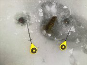 25122013346.jpg