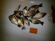 25122013350.jpg